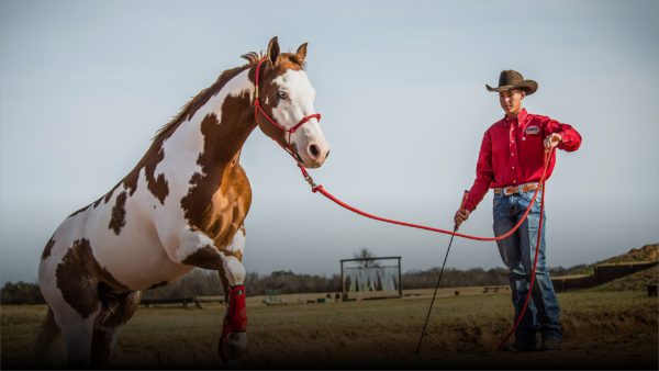 Clinton Anderson Certified Clinicians