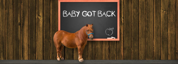 Phoenix_header_baby-got-back