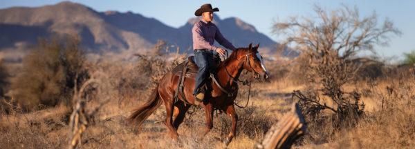 Controlled-Cruising-Exercise