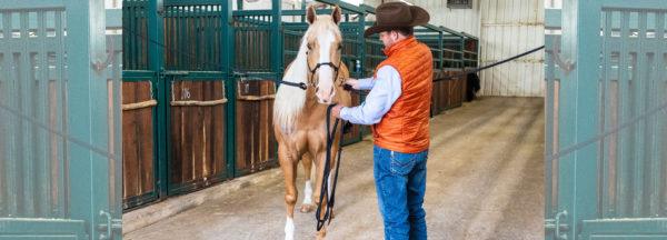 What-to-do-When-Horse-Acts-Up-in-Cross-Ties