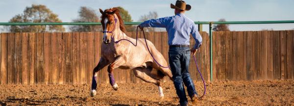 When-to-Use-Front-and-Back-Support-Boots