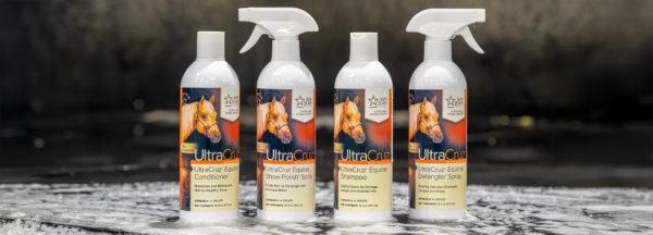 Grooming-Essentials-for-My-Horses