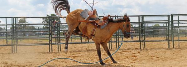 Dont-Overlook-Back-Cinch