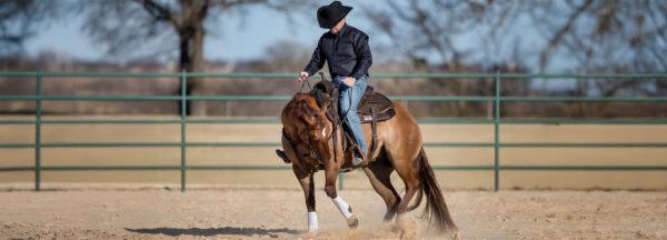 Backing-Circles-Under-Saddle-pt1